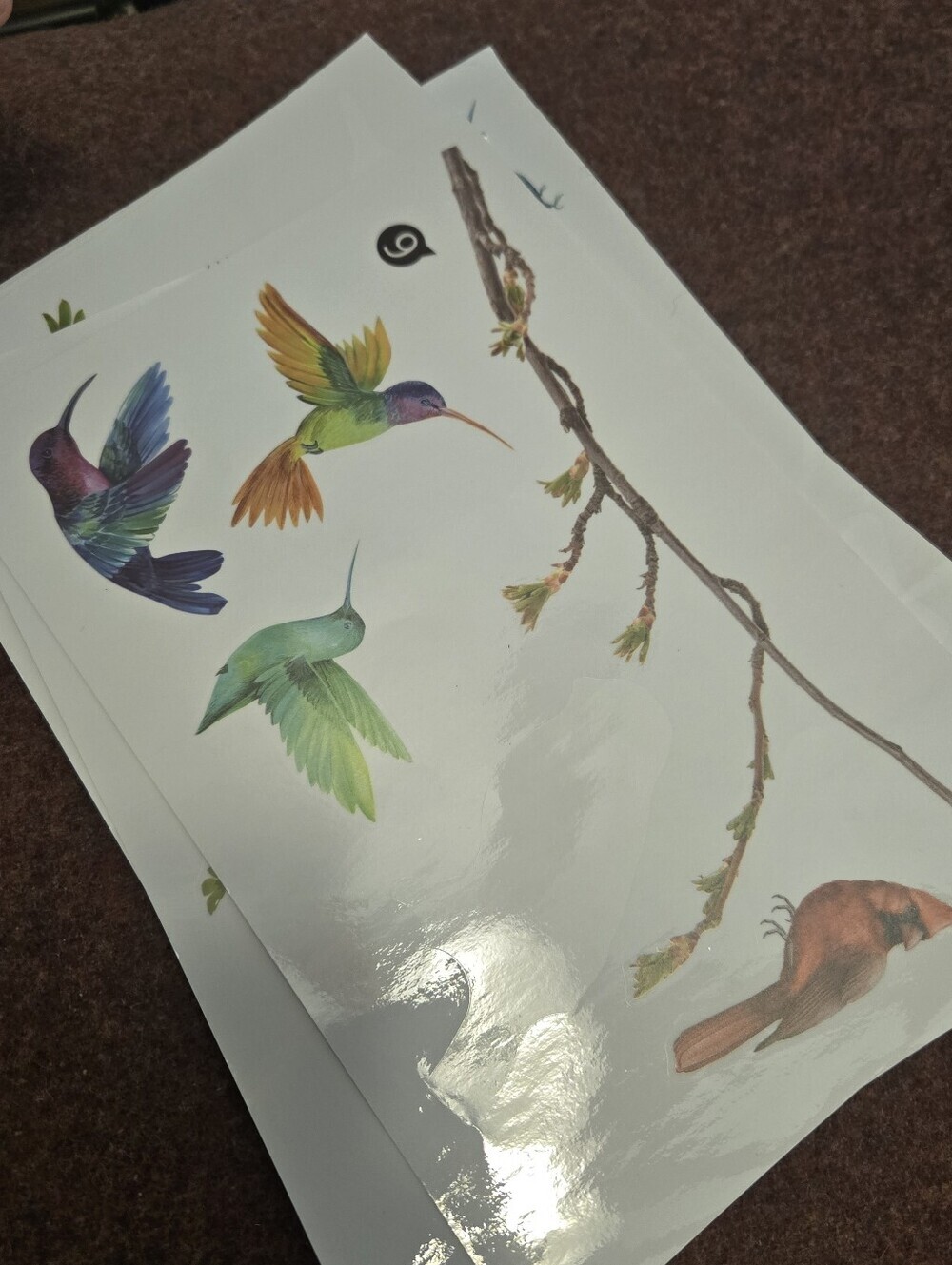 Bird & Branch Vinyl Window Clings Reusable No Adhesive - Picture 10 of 11